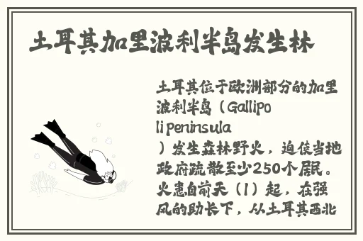羞羞动漫开启网站